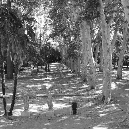 Chateau Rieutort Saint-Pargoire エクステリア 写真