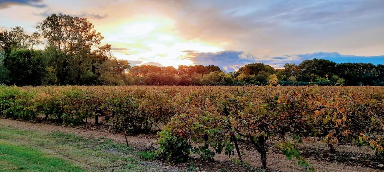 Chateau Rieutort Saint-Pargoire エクステリア 写真