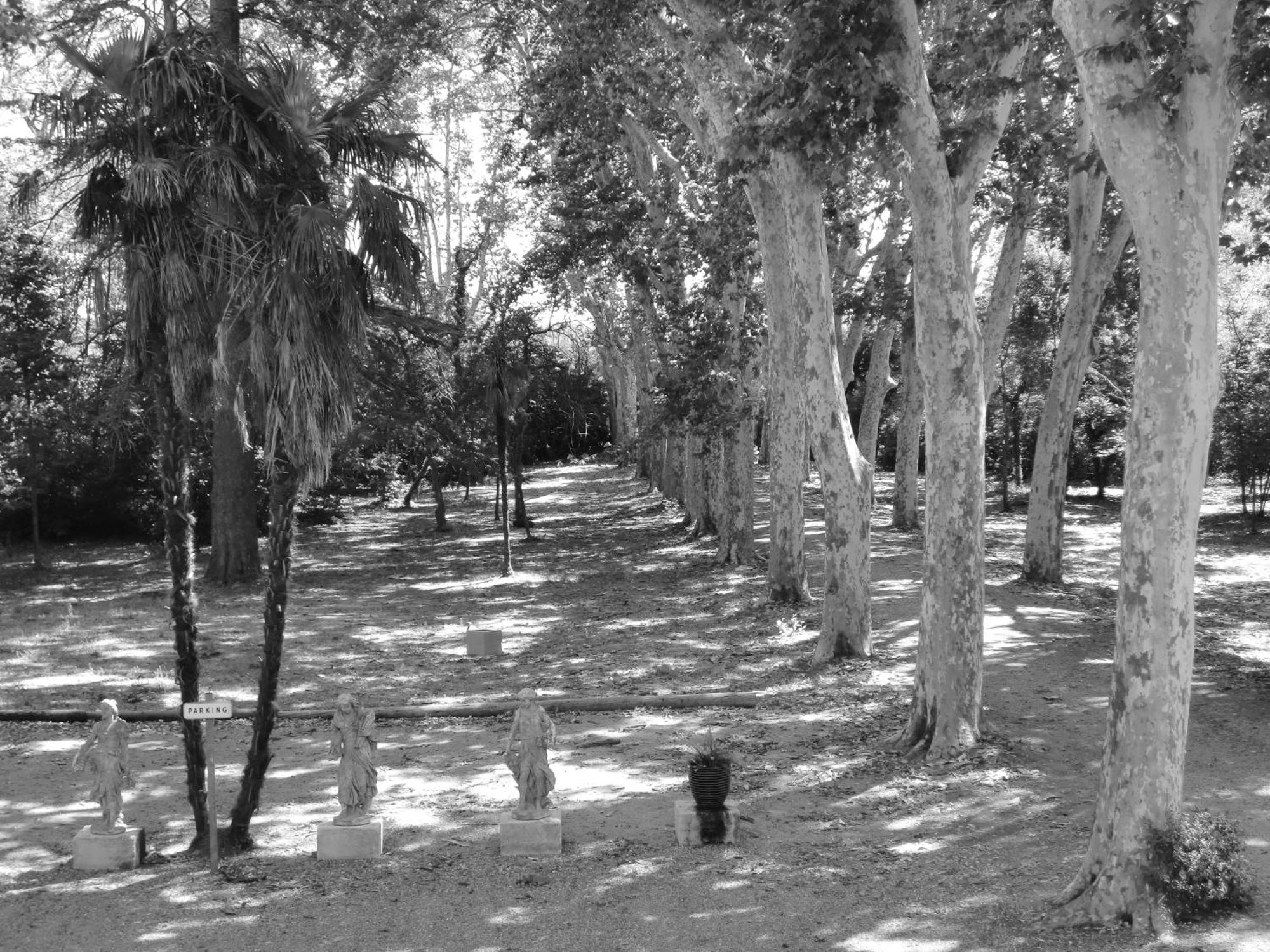 Chateau Rieutort Saint-Pargoire エクステリア 写真