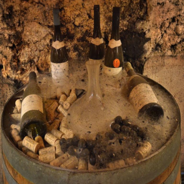 Chateau Rieutort Saint-Pargoire エクステリア 写真